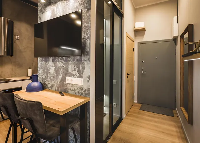 Apartment Convenient Designer Riga